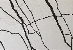 Black Veins
