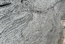 White Piracema